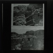 Böhl glass slide 41./2348